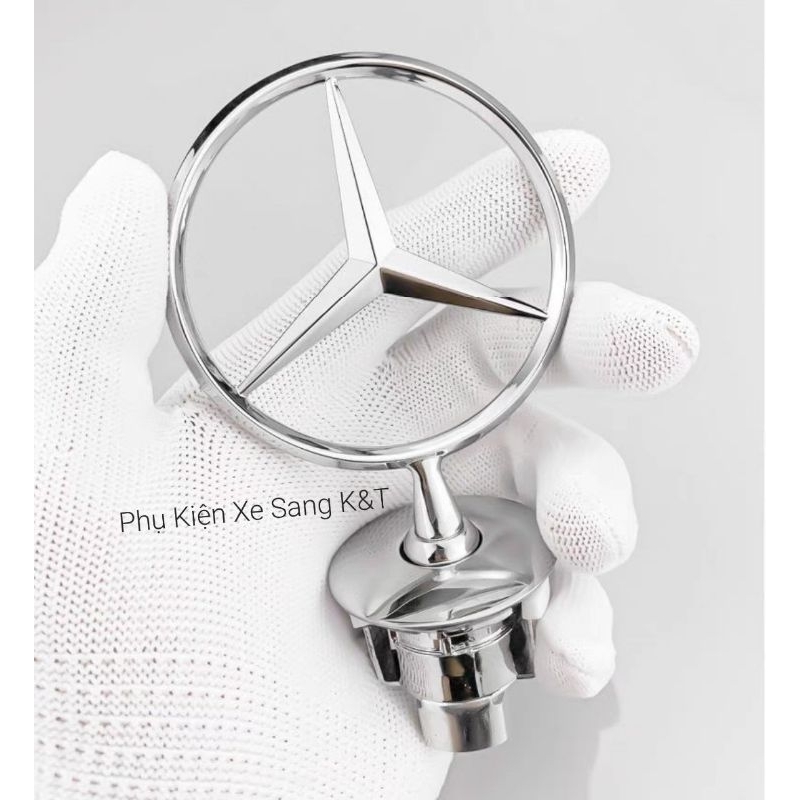 LOGO CAPO MERCEDES