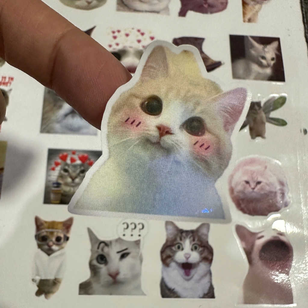 Bộ 20 - 40 sticker Mèo meme hài hước, trendy, chống thấm nước,