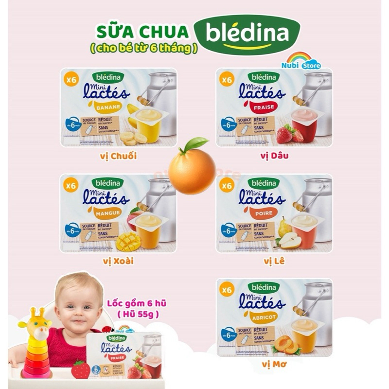 [TEM PHỤ] Sữa Chua Nguội Bledina Lactes Pháp Đủ Vị cho Bé từ 6 Tháng ( Vỉ 6 Hộp x 55g )