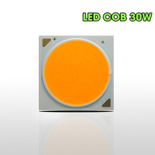Mắt led cob 30w