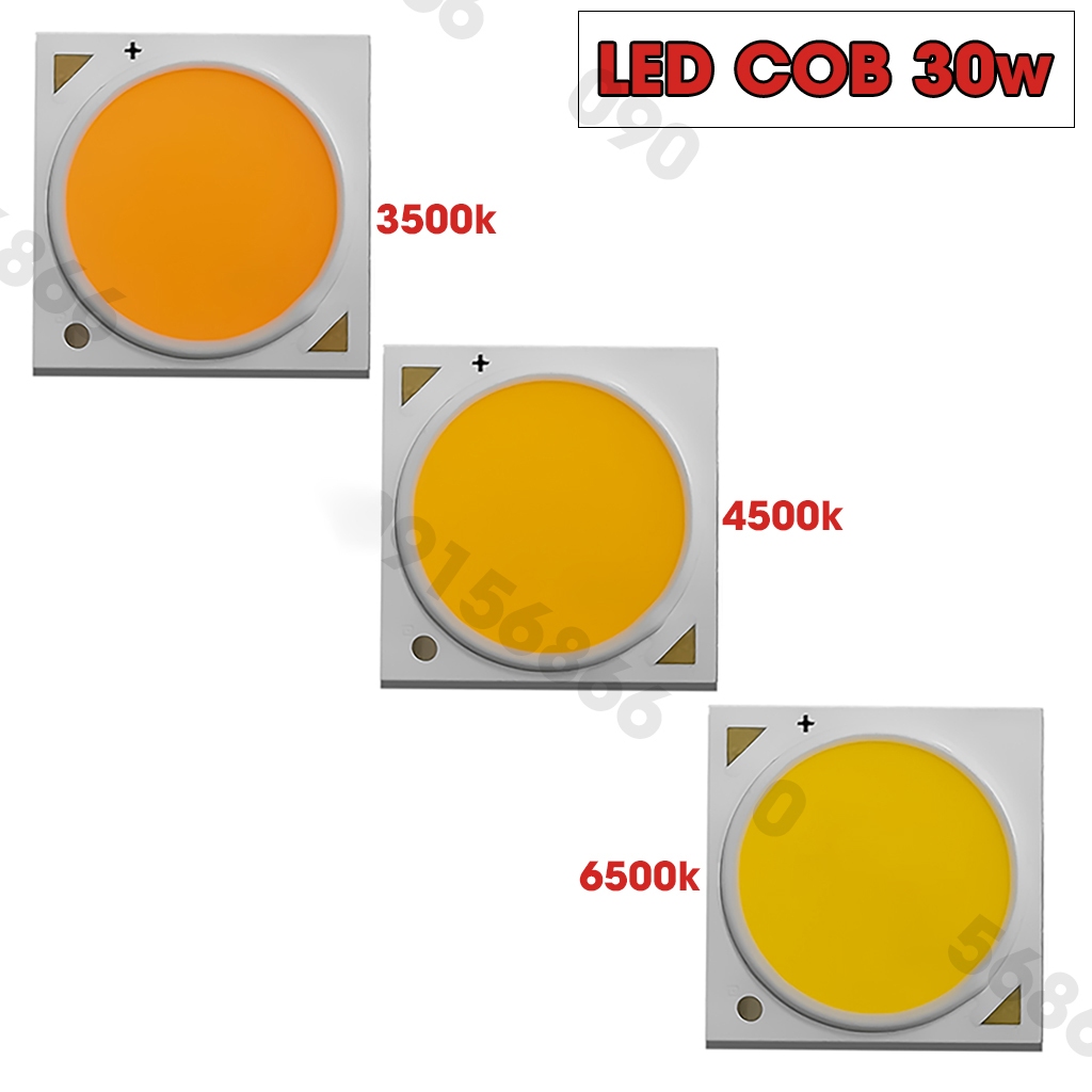 Mắt led cob 30w