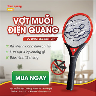 Vợt muỗi Điện Quang - Hàng CTy