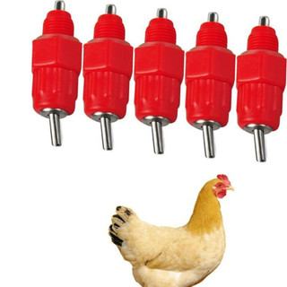 ComBo 50 Núm Nước Tự Động Cho Gà