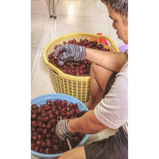 [M.TẮC.641407] • TẮC ĐƯỜNG PHÈN MẬT ONG 🐝 MIX HOA ATISO ĐỎ 🌺 (HIBISCUS ATISO) _ HỦ 400GR