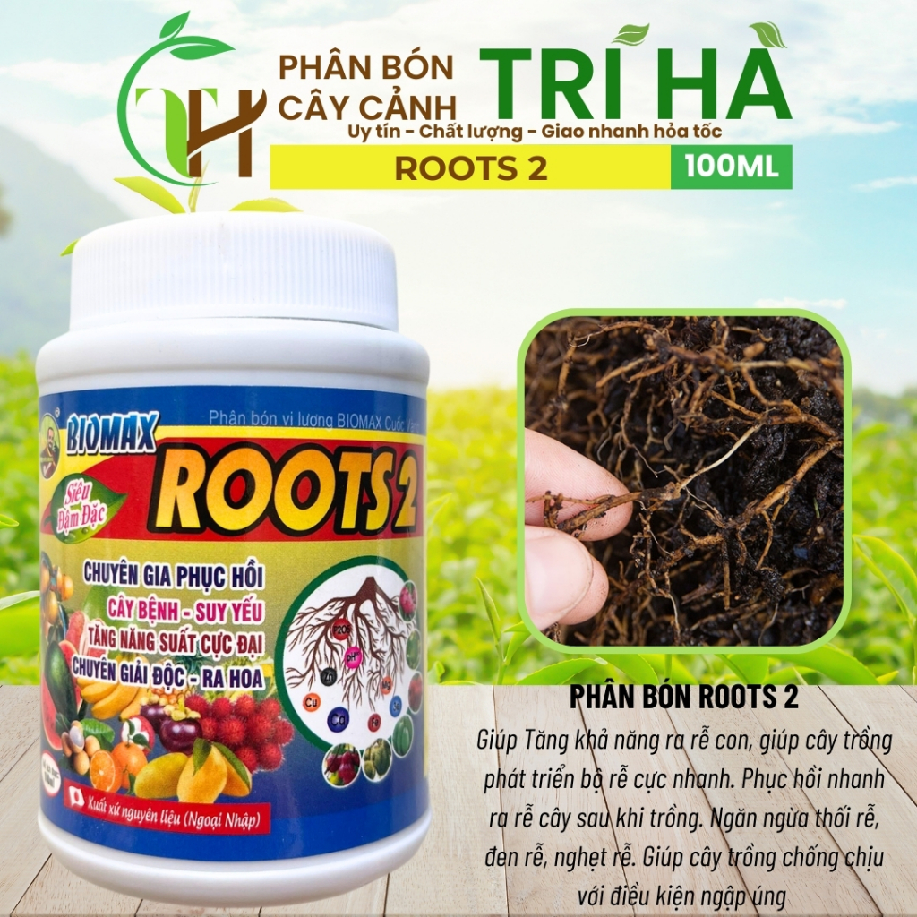 PHÂN BÓN ROOT 2 Ra Rễ 100ml - PHỤC HỒI CÂY YẾU - KÍCH THÍCH BỘ RỄ PHÁT TRIỂN -TĂNG PHÌ NHIÊU CHO ĐẤT