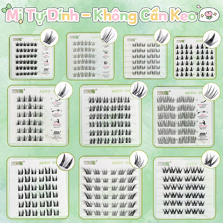 Lông Mi Cụm Tự Dính Có Sẵn Keo No Glue Needed Hộp Nhựa 6 Hàng Nhiều Dáng Mi