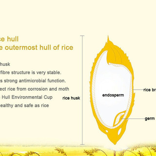 Khay 4 hộp đựng gia vị làm từ rơm lúa mì