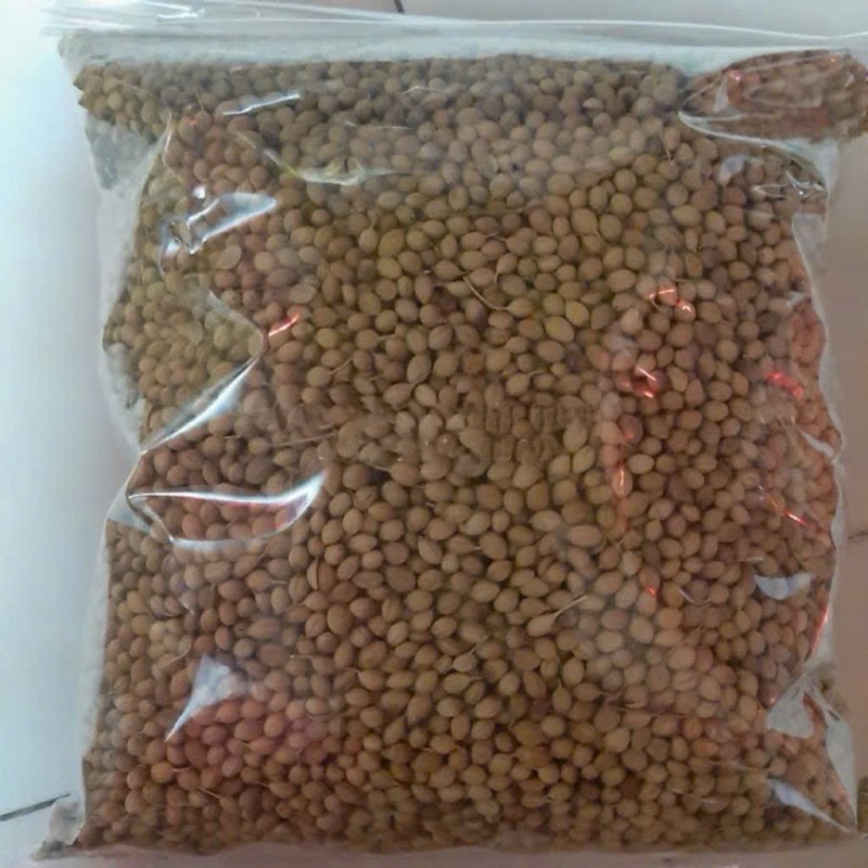 Hạt Mùi ( Hạt Ngò ) Gia Vị Nấu Phở, Nấu Sâm, Thơm Ngon Cho Các Món Ăn