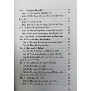 Sách-Luật Viên Chức Năm 2010 (Sửa Đổi, Bổ Sung Năm 2019)