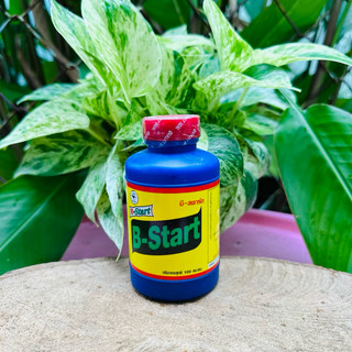  PHÂN BÓN LÁ VITAMIN B1 THÁI LAN “THẦN DƯỢC CÂY TRỒNG” chai 100ml 