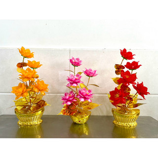 Chậu hoa để bàn cao 38-40cm
