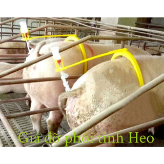 GIÁ PHỐI ĐỠ TINH CHO HEO
