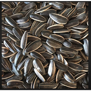 500g hạt hướng dương
