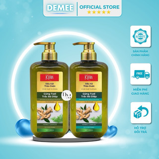  Cặp Dầu Gội Thảo Dược Gừng Tươi Trắc Bá Diệp Giảm Ngứa Giảm Gãy Rụng Phục Hồi Tóc 500ML 