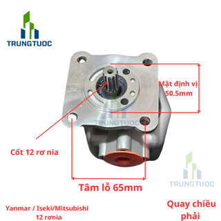 Bơm thủy lực Iseki Yanmar Mitsubishi cốt 12 rơ nia quay chiều phải áp cao _mã 0230CM4-RAG