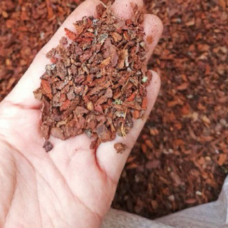 Vỏ Thông Vụn Dạng Hạt Đỗ 1kg