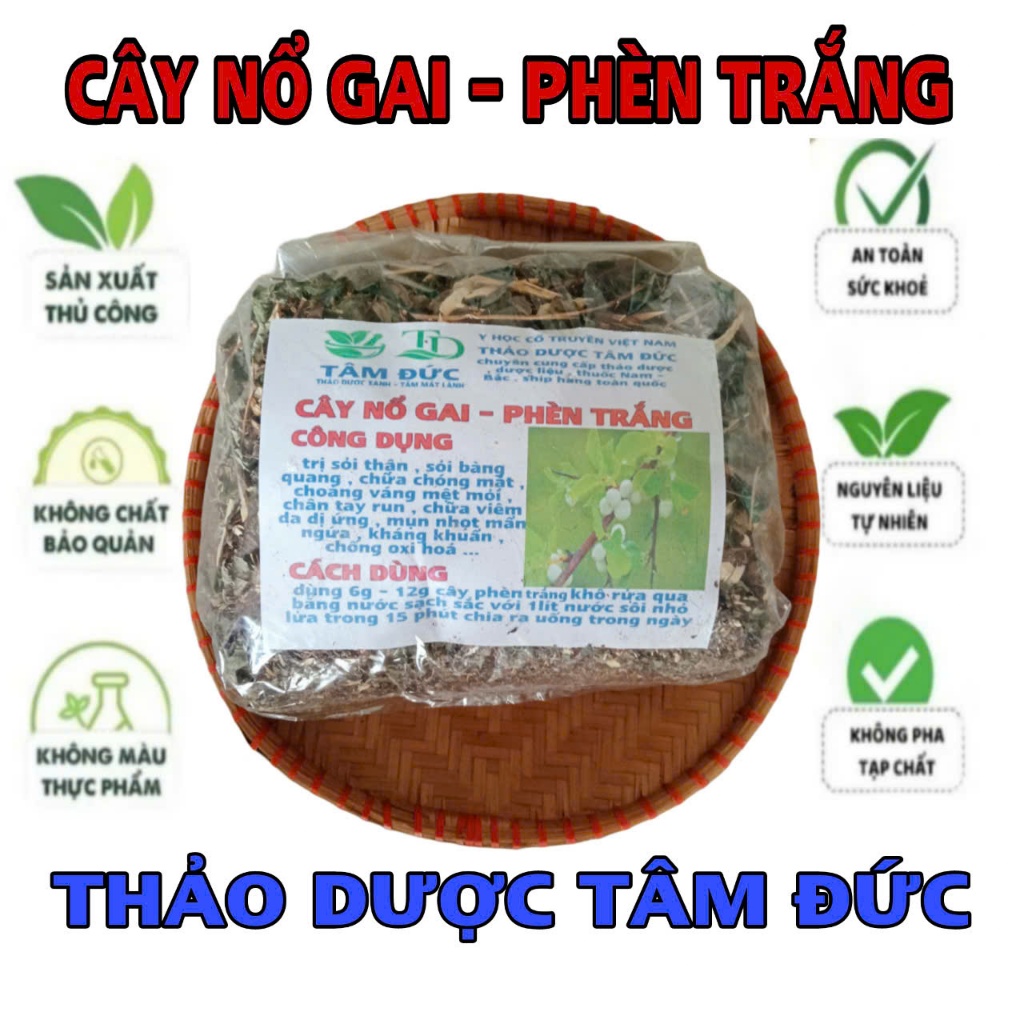 100g cây nổ gai phèn trắng sấy khô