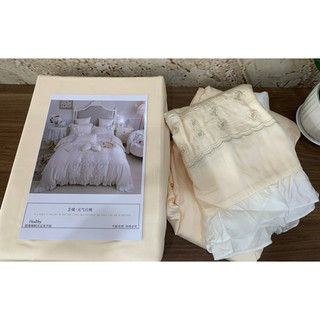 Bộ chăn ga gối Lụa Tencel 100s thêu hoa set 5 mon( gối trang trí kèm ruột)
