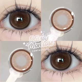  Kính Áp Tròng  Lens mắt Olivia monrose - Isa Brown   Có kèm khay đựng   