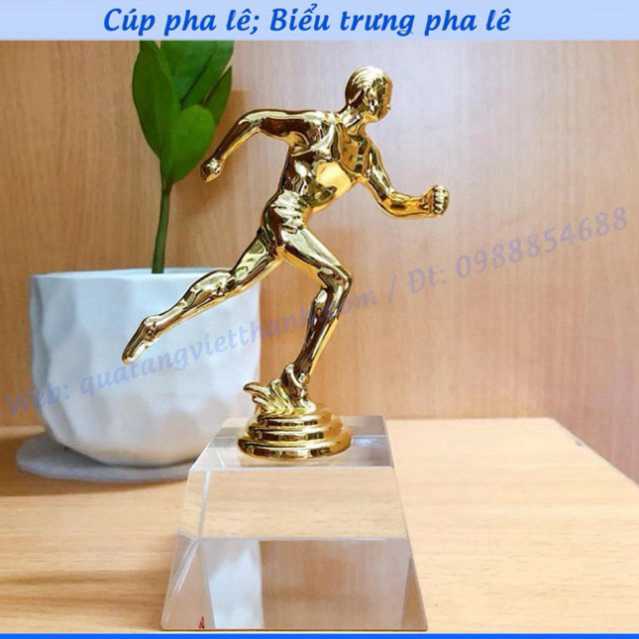 CÚP PHA LÊ KIM LOẠI (MẪU GIẢI ĐIỀN KINH KL THẤP)