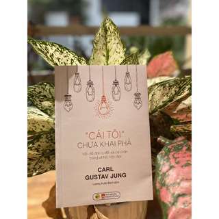 Sách - Cái tôi chưa khai phá - Bách việt