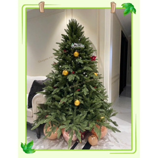  Cây thông PE XANH và PE PHỦ TUYẾT decor giáng sinh hàng cao cấp 