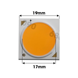 Mắt led cob 30w