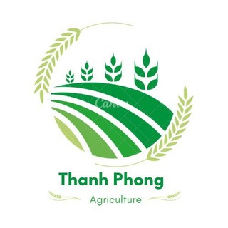 SIÊU NẤM BỆNH 500GR Thán Thư, Sơ đen mít, Thối trái, Xì mũ, Vàng lá thối rễ