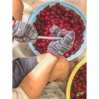[M.TẮC.641407] • TẮC ĐƯỜNG PHÈN MẬT ONG 🐝 MIX HOA ATISO ĐỎ 🌺 (HIBISCUS ATISO) _ HỦ 400GR