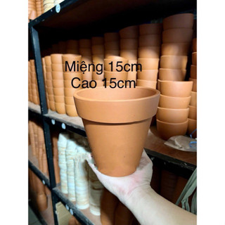 chậu đất nung 15x15cm - chậu 15cm - chậu đất nung trồng cây size to miệng 15cm cao 15cm