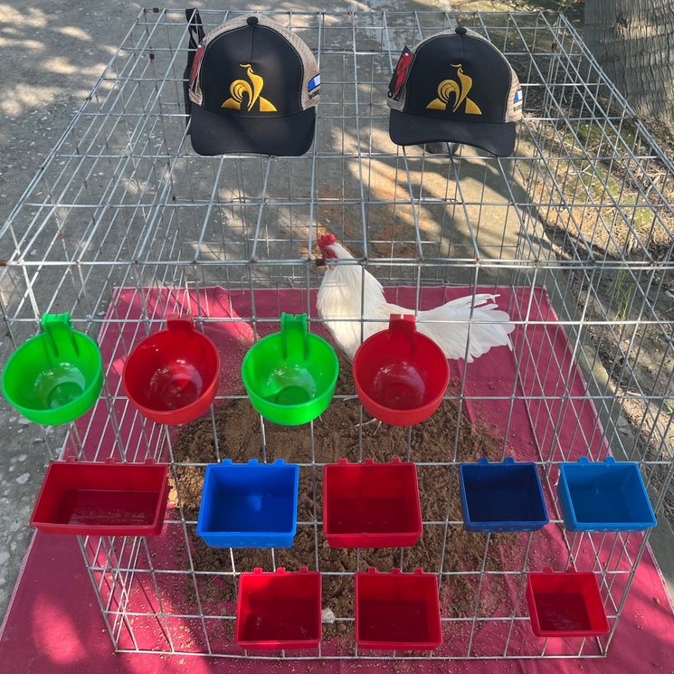 Gáo Nhựa Vuông Cho Gà Ăn Uống - Gáo Vuông - Gáo Tròn - Giá Sỉ Sản Xuất