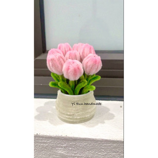  chậu hoa tulip kẽm nhung mini nhiều màu ib chọn màu  