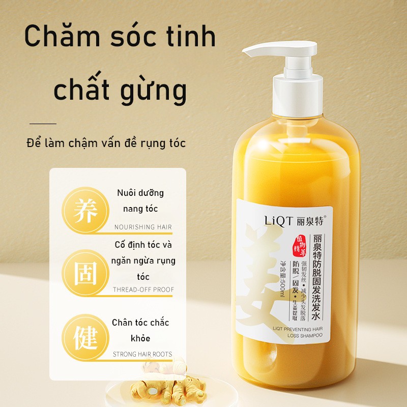dầu gội gừng  500ml Ngăn ngừa rụng tóc, nuôi dưỡng và củng cố chân tóc,kiểm soát dầu và loại bỏ gàu,hương thơm tươi mát