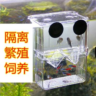 LỒNG ĐẺ CHO CÁ- LỒNG ẤP CÁ BẢY MÀU- Size trung