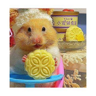 Bánh Trung Thu Phomai Sữa Dê Ngũ Cốc Cho Hamster Và Thú Nhỏ