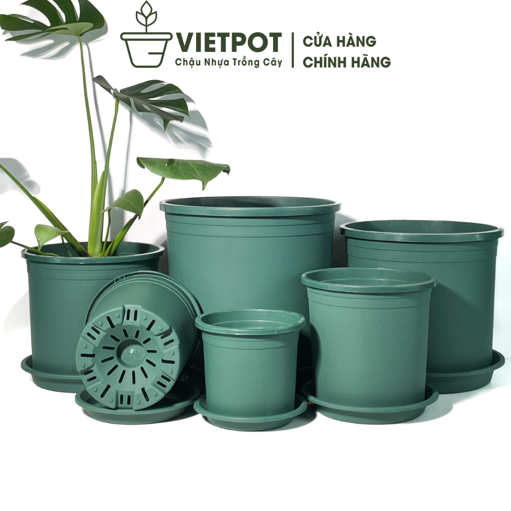 [Mã INBAU154 giảm 15K đơn 99K] Chậu nhựa trồng cây VIETPOT, màu xanh trơn, trồng hoa kiểng.