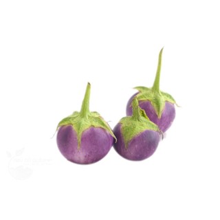 Hạt Giống Cà Pháo Tím Cao Sản - 0,5gram - STHG