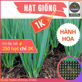 Deal 1K - Hạt Giống Hành Hoa (Hành Lá) Cao Sản - Tập Làm Vườn Cùng Tạ Gia Trang