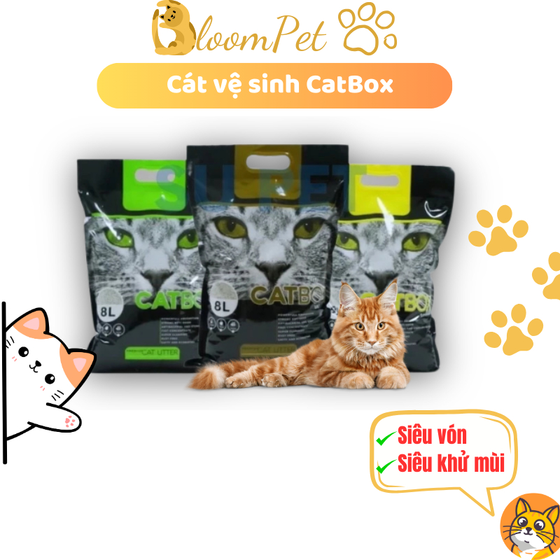 Cát vệ sinh cho mèo CATBOX delicate 8l BloomPet