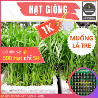 Deal 1K - Hạt giống rau muống lá tre ăn giòn, ngon - Tập làm vườn cùng Tạ Gia Trang