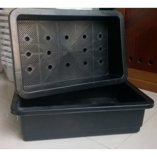 Khay Nhựa trồng rau sạch 65x42x16cm