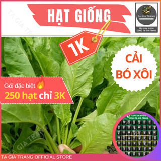 Deal 1K - Hạt giống rau cải bó xôi chịu nhiệt - Tập làm vườn cùng Tạ Gia Trang