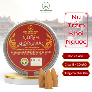 Nụ trầm hương khói ngược Tân Nguyên, trầm hương nụ hộp 22 viên, trầm khói ngược dùng thác khói