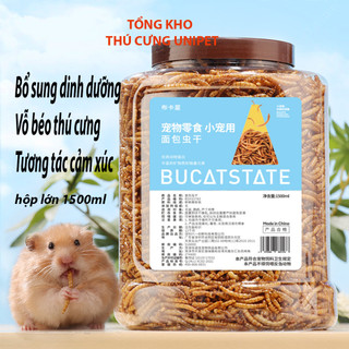 Sâu sấy lạnh vỗ béo chuột hamster, nhím, sóc, thú cưng nhỏ giàu protein động vật hộp lớn