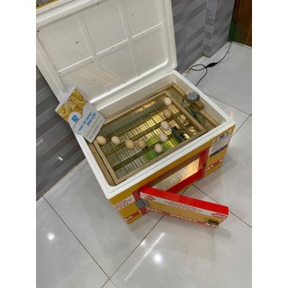 MÁY ẤP TRỨNG THÙNG XỐP, LOẠI 100 TRỨNG ĐẢO TỰ ĐỘNG, TỶ LỆ NỞ TRÊN 95%. MÁY ẤP TRỨNG PHI LỘC
