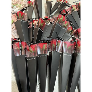 sỉ 100 hoa hồng hộp mica đen