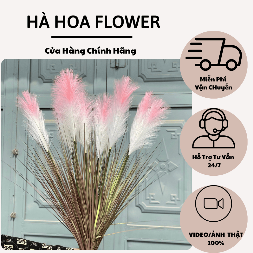 Cành lau 5 bông cao 100cm Trang Trí Nhà Cửa | Hà Hoa Flower