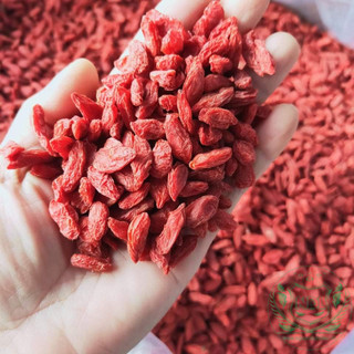 Kỳ Tử Đỏ Tứ Xuyên 100g