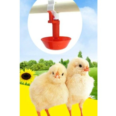 10 Núm nước tự động cho gà.