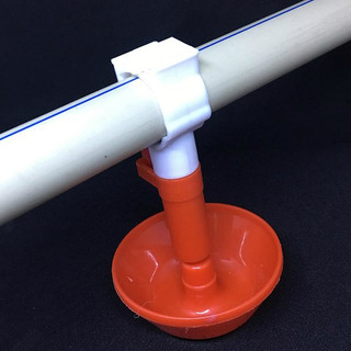 10 Núm nước tự động cho gà.
